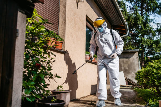 Reliable Greensboro, GA Pest Control Solutions