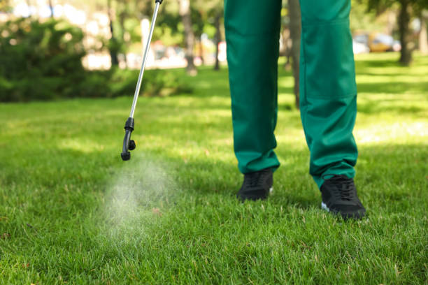 Best Rat Extermination Near Me  in Greensboro, GA