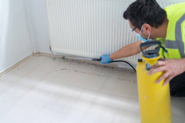 Best Mosquito Control Services  in Greensboro, GA