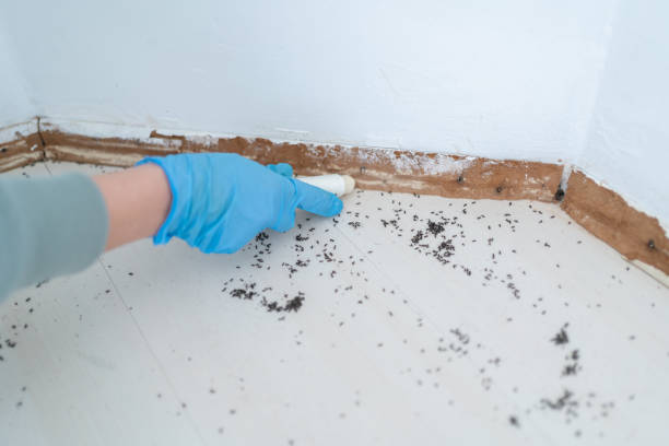 Best Residential Pest Control  in Greensboro, GA